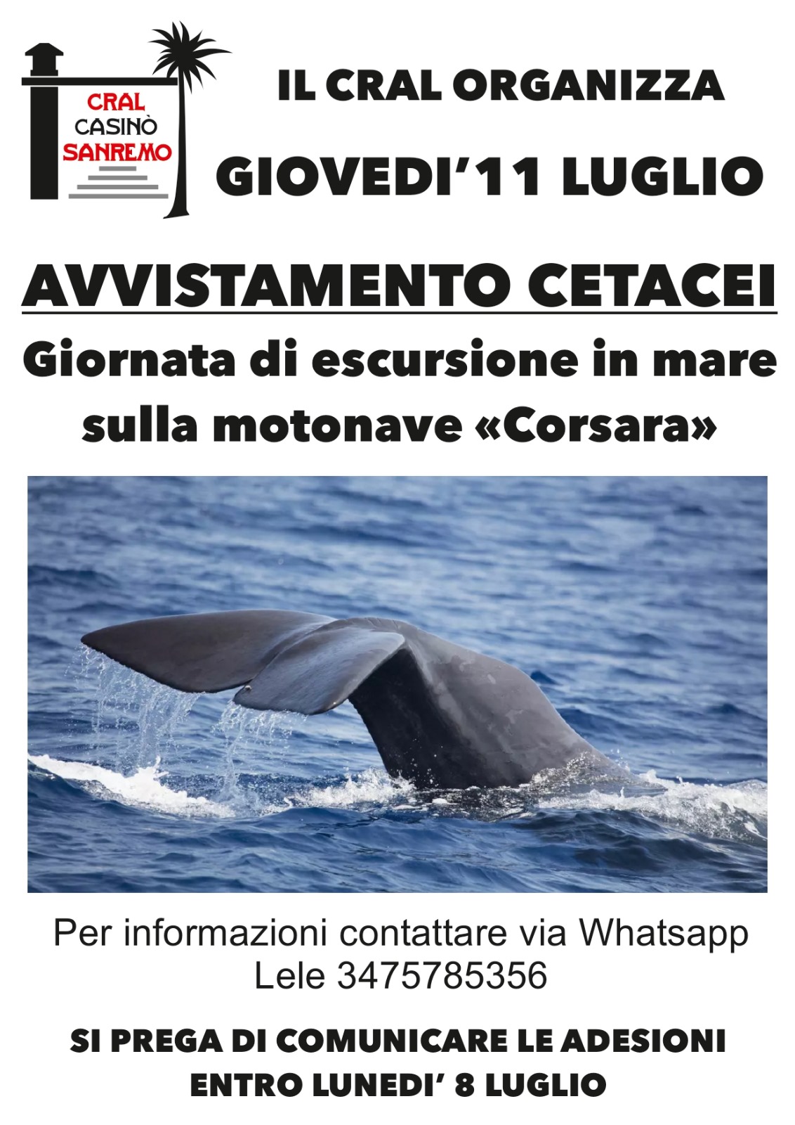 avvistamento cetacei 1